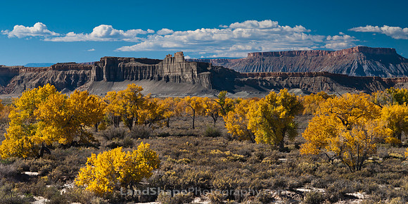 Fall in the desert