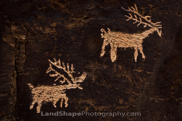 Spirit Elk