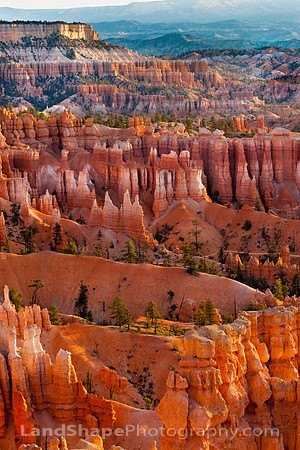 Bryce Sunrise Longview