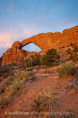South Window Sunrise