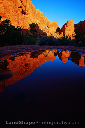 North Window Reflection