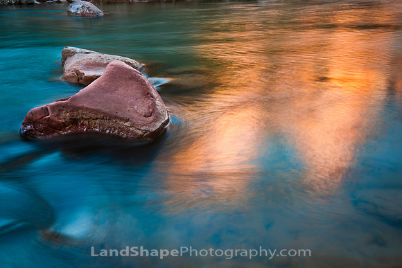 Zion Reflections