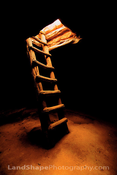 Ladder to the Light
