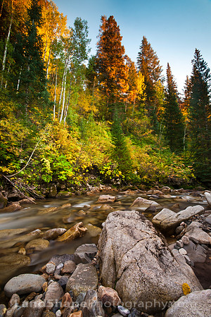 Fall in the Wasatch