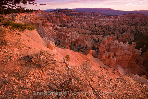 Bryce Sunrise