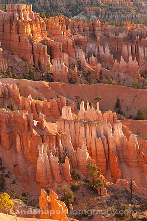 Sandstone sand castles