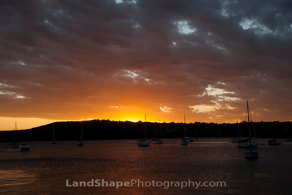 Manly Harbor Sunset
