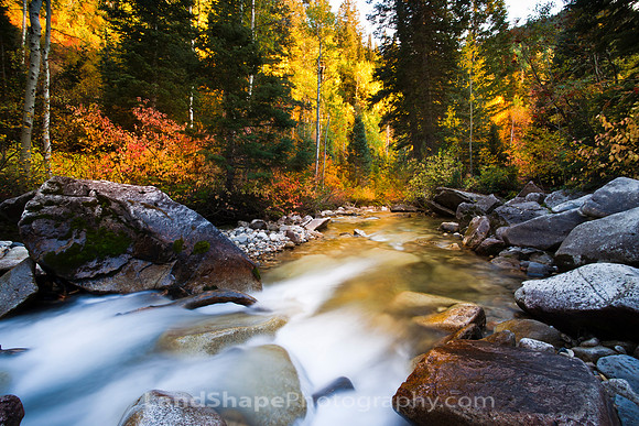 Wasatch Gold