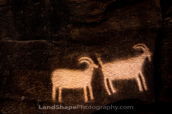 Spirit Sheep