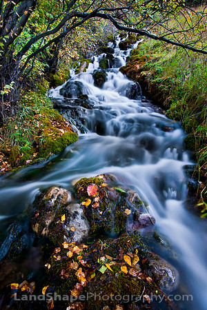 Small Cascade
