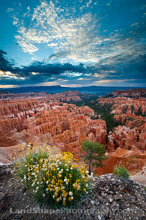 Bryce Canyon Inspiration