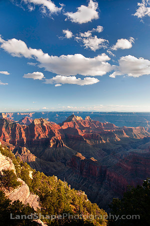 Bright Angel From the North Rim of the Grand Canyon