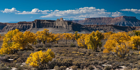Fall in the desert